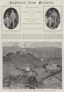 Pakenevia Pretoriasta